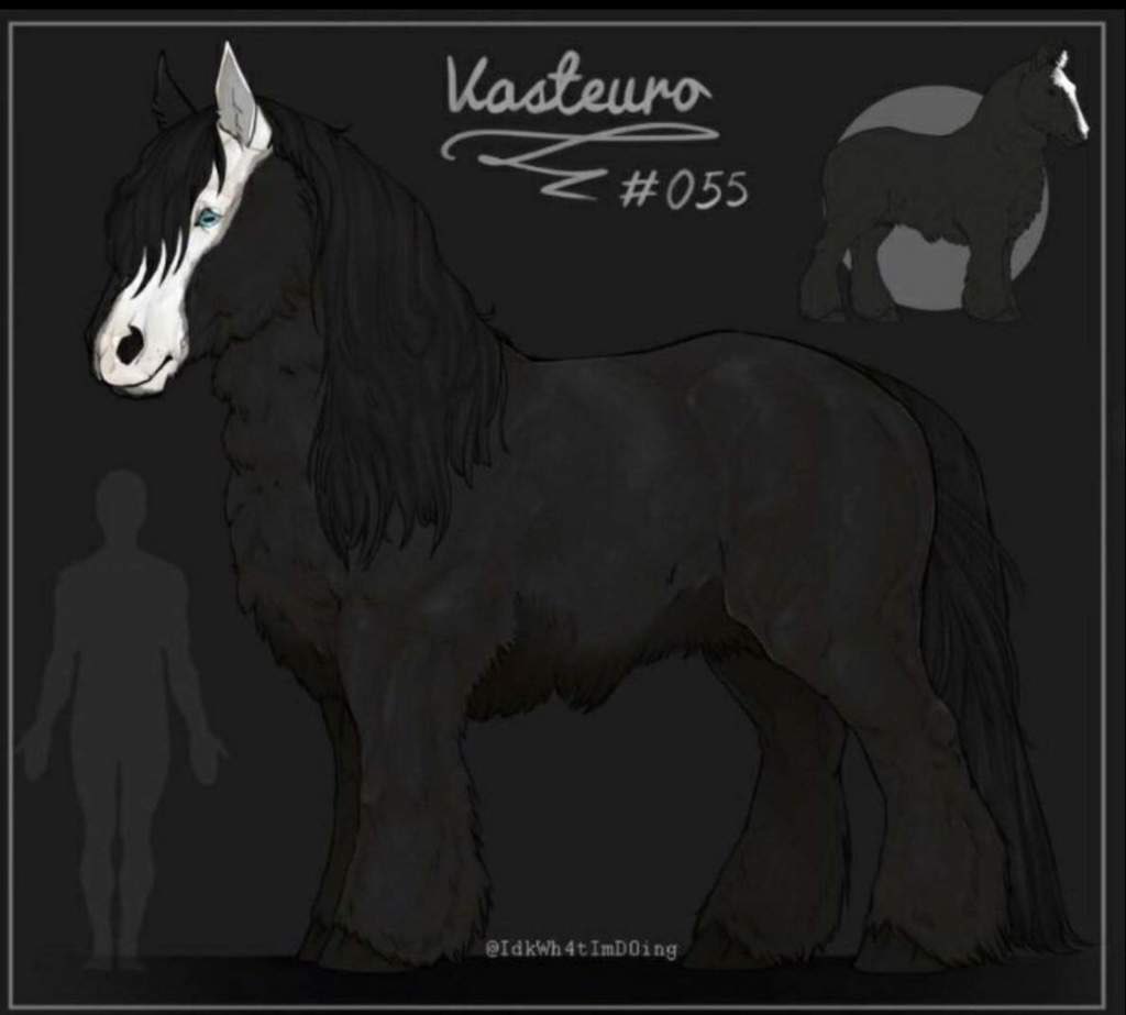 Vasteuro #55