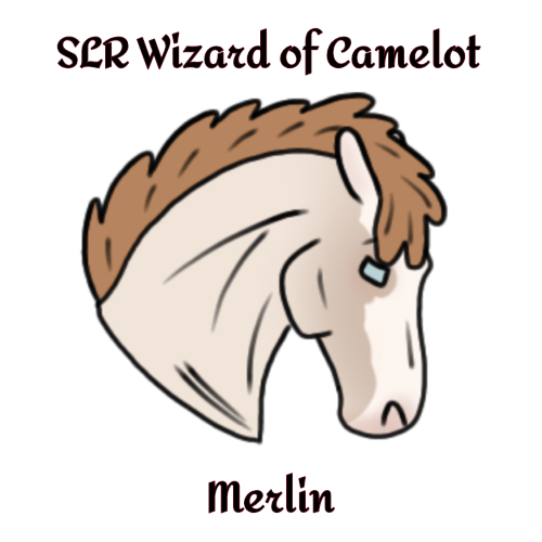 Vasteuro #1398